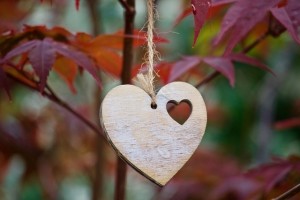 heart-3462727_640